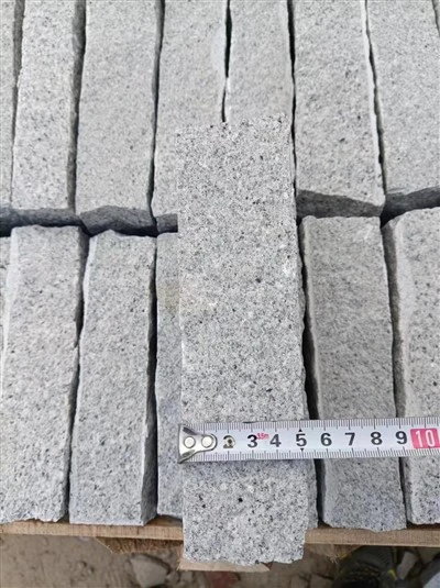 Pietra cubica di granito grigio G603